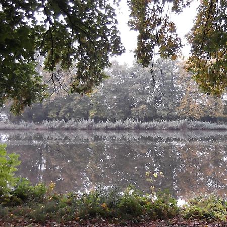 Angel Room Podebrady Exterior photo